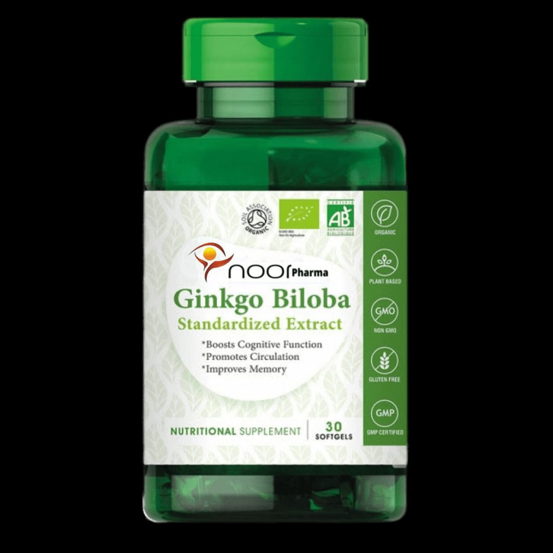 Ginkgo Biloba
